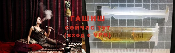 стаф Бородино