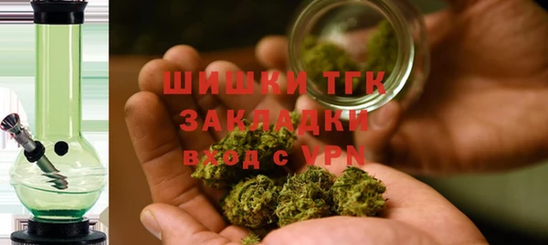стаф Бородино