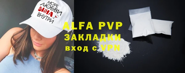 стаф Бородино