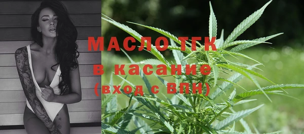 стаф Бородино
