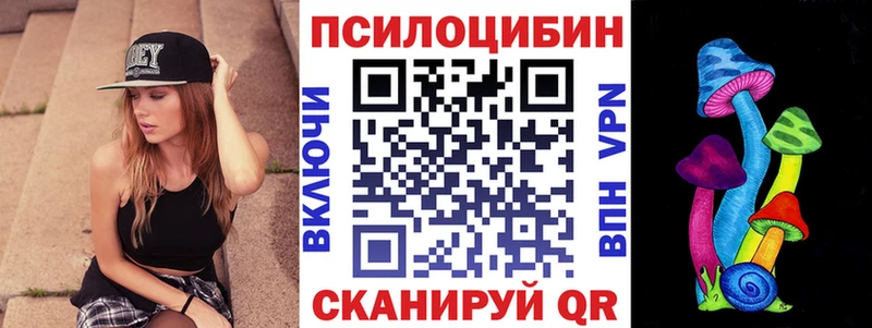 наркотики  Кемь  Псилоцибиновые грибы мицелий 